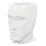 White Face Planter